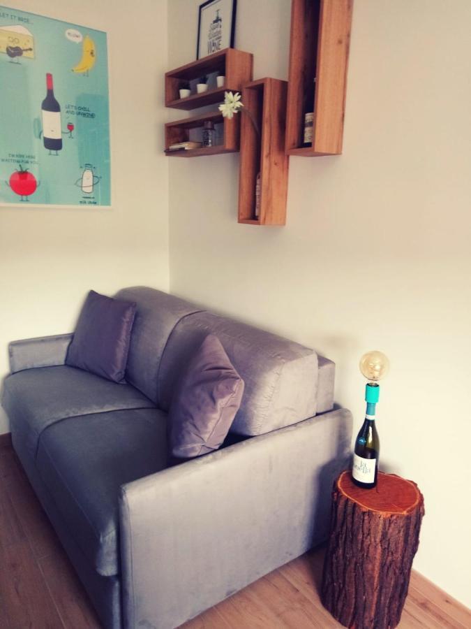 Vinhome Bilocale Con Garage Privato Alba Centro Dış mekan fotoğraf